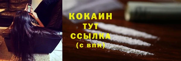 соль ск Мегион