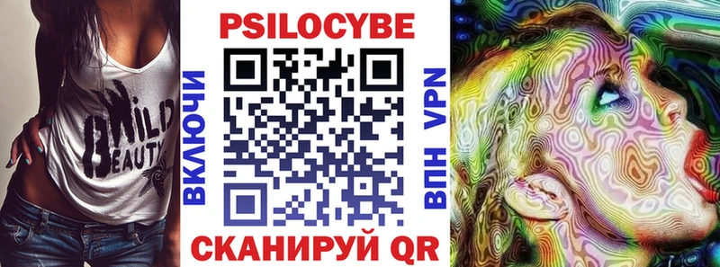 Галлюциногенные грибы Psilocybe  Купить где  Орск 